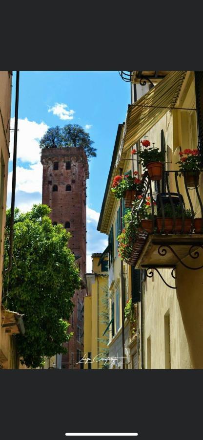 Casa Luba Hotel Lucca Exterior photo