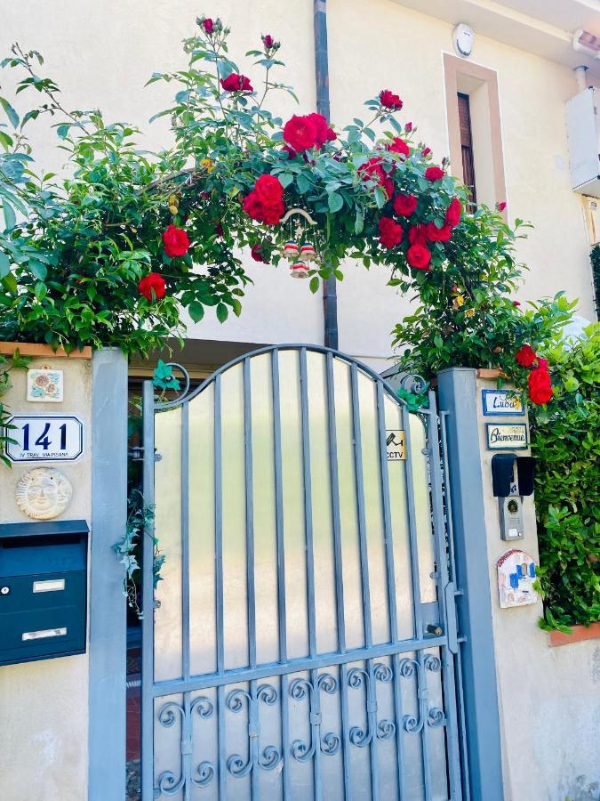 Casa Luba Hotel Lucca Exterior photo